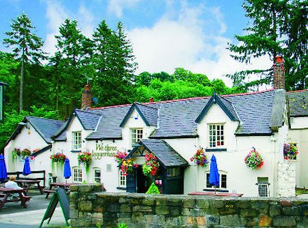 วี ทรี ล็อคเกอร์เฮด Hotel Gwernymynydd ภายนอก รูปภาพ