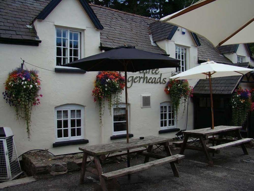 วี ทรี ล็อคเกอร์เฮด Hotel Gwernymynydd ภายนอก รูปภาพ